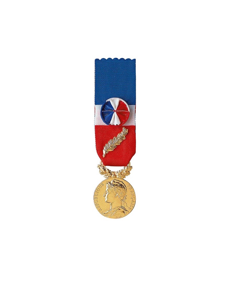 Médaille 35 Ans Honneur Du Travail Officiel Vermeil 